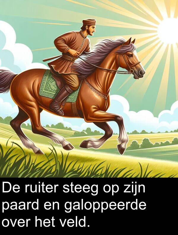 veld: De ruiter steeg op zijn paard en galoppeerde over het veld.