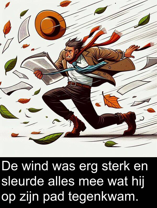 alles: De wind was erg sterk en sleurde alles mee wat hij op zijn pad tegenkwam.