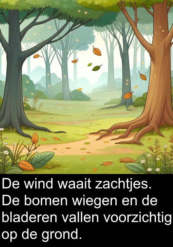 grond: De wind waait zachtjes. De bomen wiegen en de bladeren vallen voorzichtig op de grond.