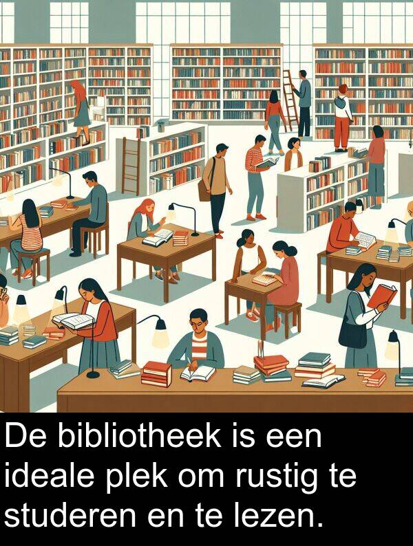 studeren: De bibliotheek is een ideale plek om rustig te studeren en te lezen.