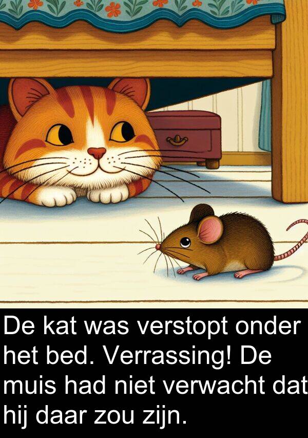 onder: De kat was verstopt onder het bed. Verrassing! De muis had niet verwacht dat hij daar zou zijn.