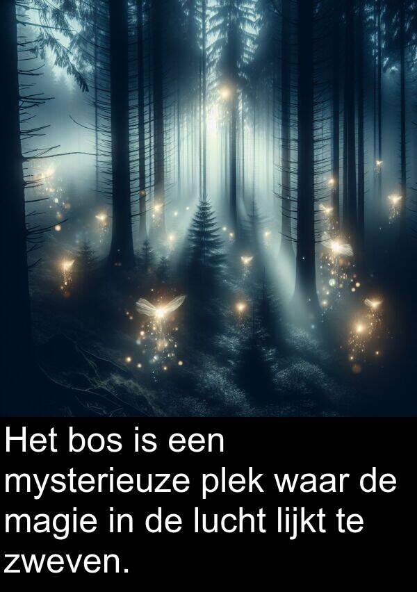 lucht: Het bos is een mysterieuze plek waar de magie in de lucht lijkt te zweven.