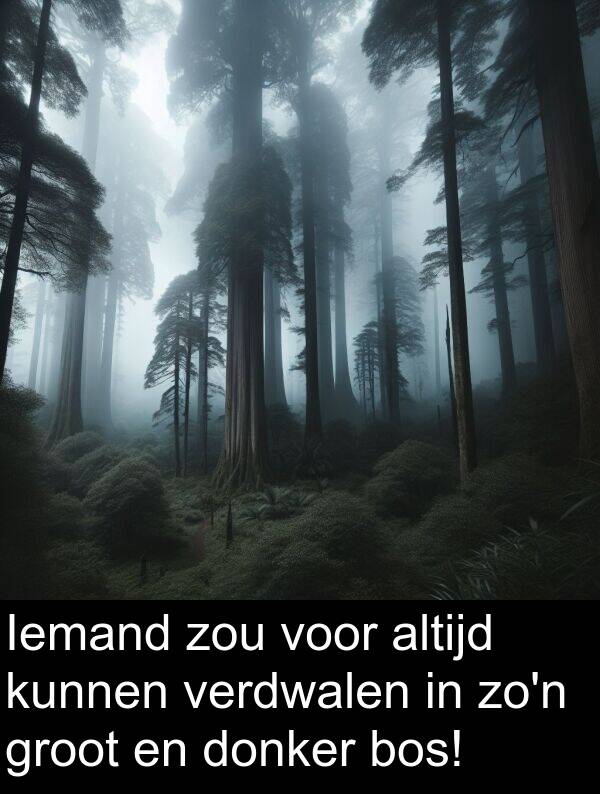 groot: Iemand zou voor altijd kunnen verdwalen in zo'n groot en donker bos!