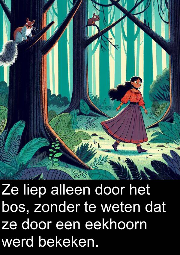 bos: Ze liep alleen door het bos, zonder te weten dat ze door een eekhoorn werd bekeken.