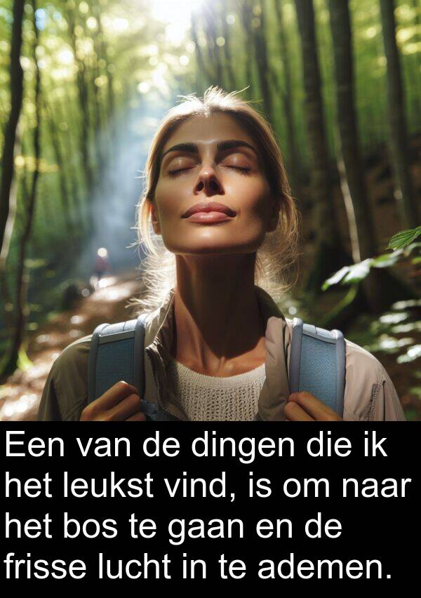 vind: Een van de dingen die ik het leukst vind, is om naar het bos te gaan en de frisse lucht in te ademen.
