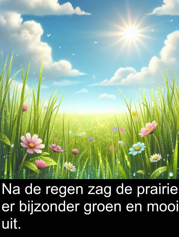 groen: Na de regen zag de prairie er bijzonder groen en mooi uit.