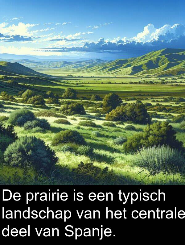 centrale: De prairie is een typisch landschap van het centrale deel van Spanje.