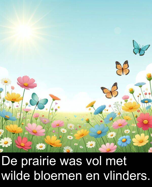 prairie: De prairie was vol met wilde bloemen en vlinders.