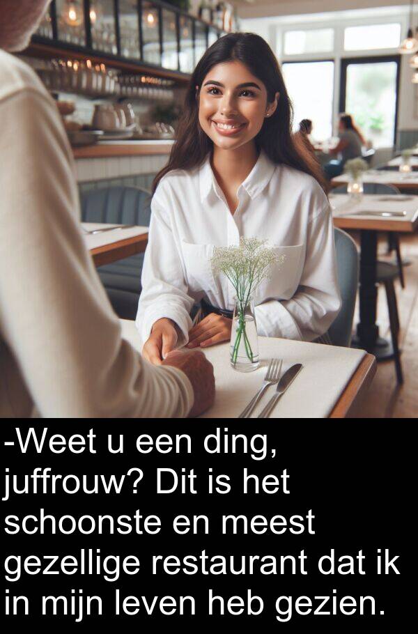 gezellige: -Weet u een ding, juffrouw? Dit is het schoonste en meest gezellige restaurant dat ik in mijn leven heb gezien.