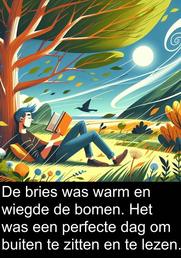 buiten: De bries was warm en wiegde de bomen. Het was een perfecte dag om buiten te zitten en te lezen.