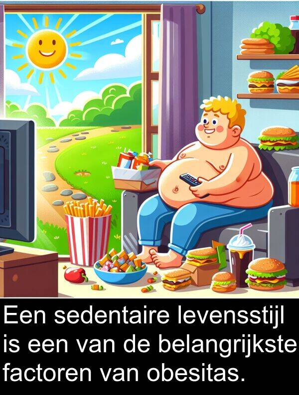 belangrijkste: Een sedentaire levensstijl is een van de belangrijkste factoren van obesitas.