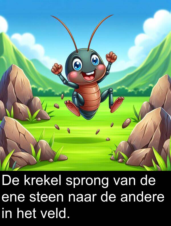 andere: De krekel sprong van de ene steen naar de andere in het veld.