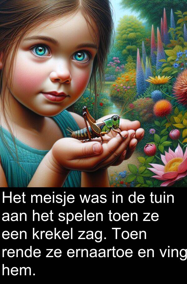 ving: Het meisje was in de tuin aan het spelen toen ze een krekel zag. Toen rende ze ernaartoe en ving hem.