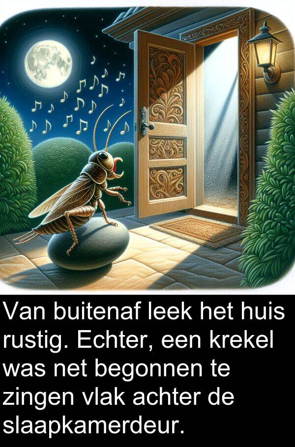 zingen: Van buitenaf leek het huis rustig. Echter, een krekel was net begonnen te zingen vlak achter de slaapkamerdeur.
