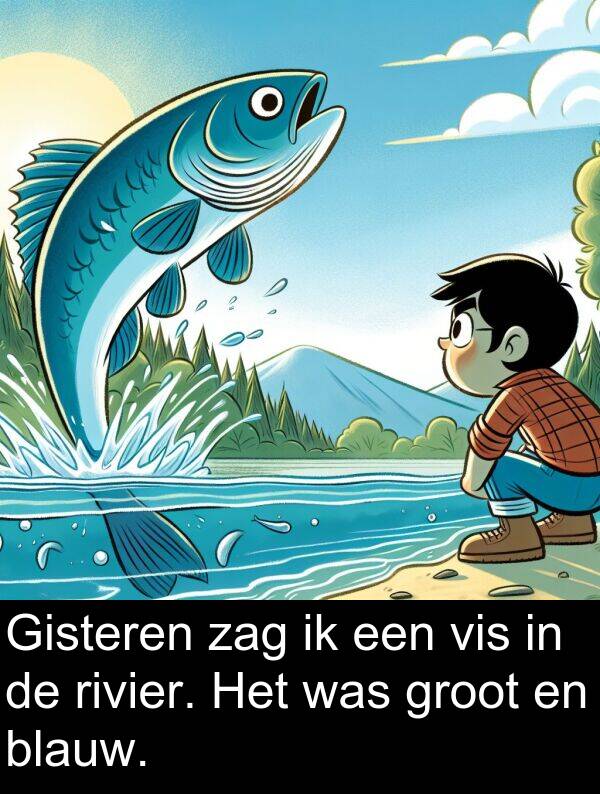 groot: Gisteren zag ik een vis in de rivier. Het was groot en blauw.