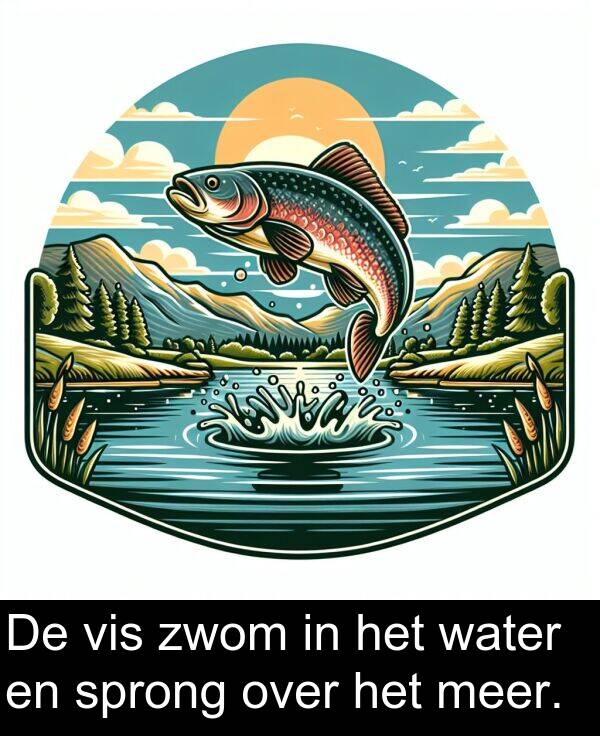 over: De vis zwom in het water en sprong over het meer.