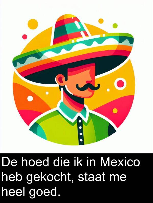 gekocht: De hoed die ik in Mexico heb gekocht, staat me heel goed.