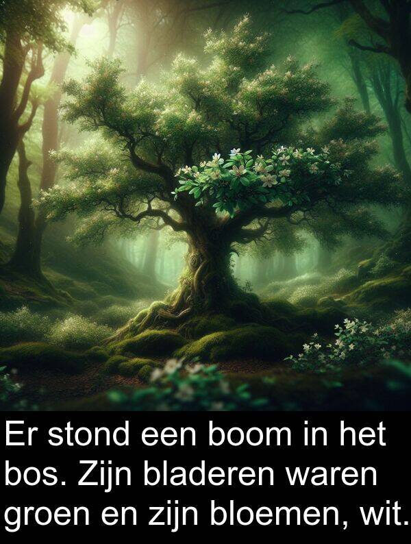 groen: Er stond een boom in het bos. Zijn bladeren waren groen en zijn bloemen, wit.