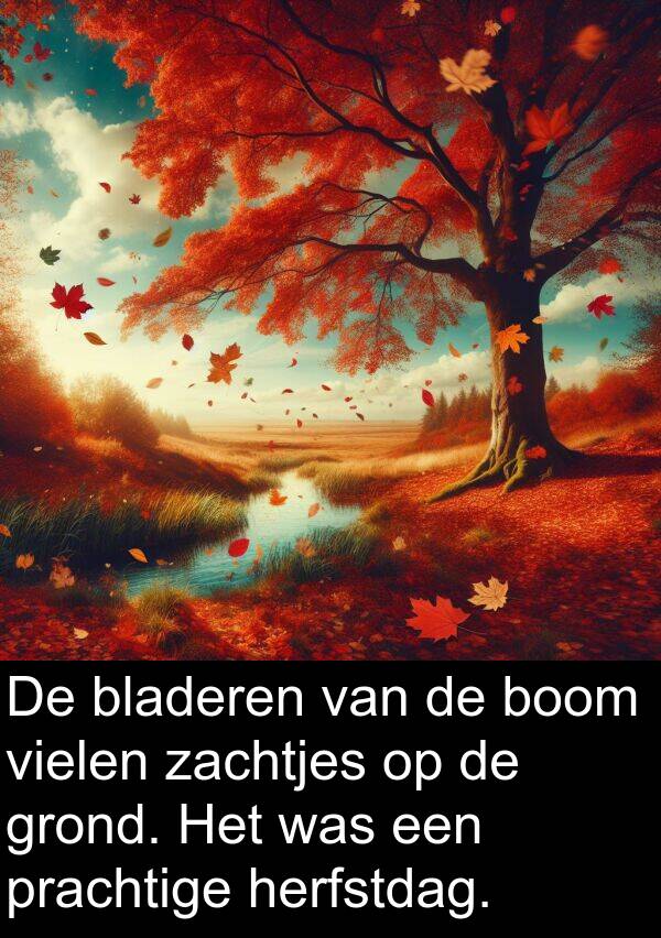 grond: De bladeren van de boom vielen zachtjes op de grond. Het was een prachtige herfstdag.