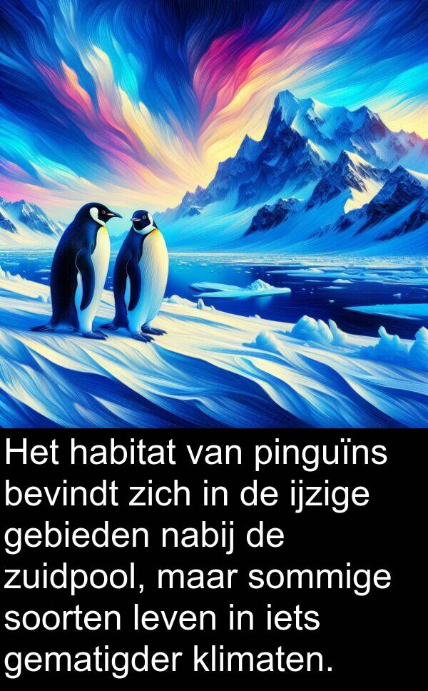 soorten: Het habitat van pinguïns bevindt zich in de ijzige gebieden nabij de zuidpool, maar sommige soorten leven in iets gematigder klimaten.