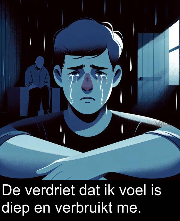 dat: De verdriet dat ik voel is diep en verbruikt me.