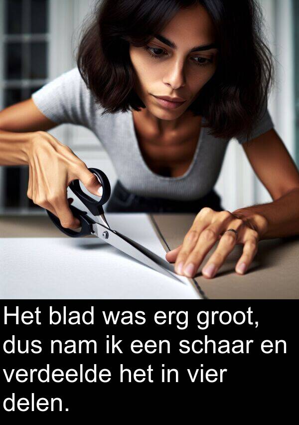 groot: Het blad was erg groot, dus nam ik een schaar en verdeelde het in vier delen.