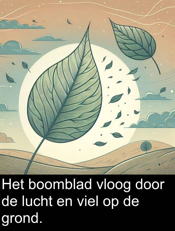 grond: Het boomblad vloog door de lucht en viel op de grond.