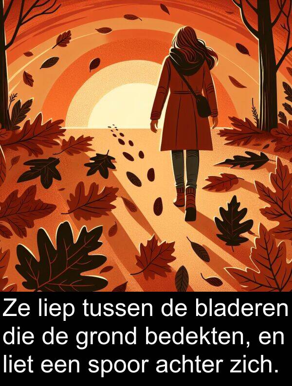 grond: Ze liep tussen de bladeren die de grond bedekten, en liet een spoor achter zich.
