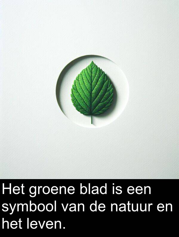 groene: Het groene blad is een symbool van de natuur en het leven.