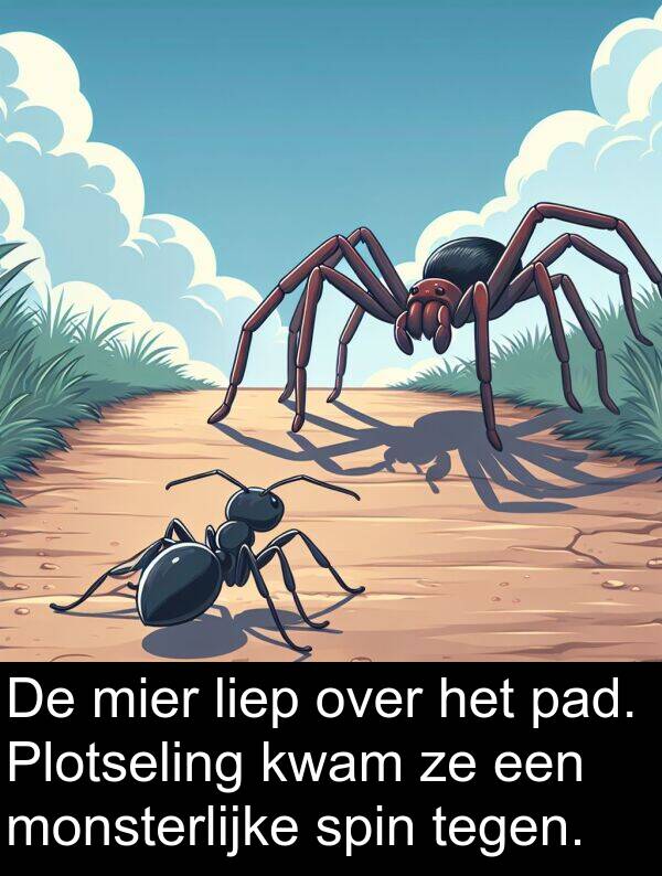 tegen: De mier liep over het pad. Plotseling kwam ze een monsterlijke spin tegen.