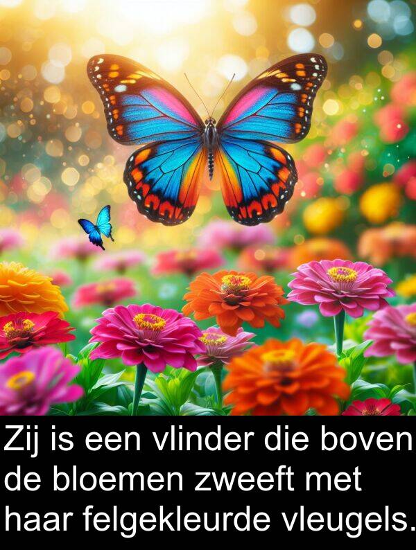 boven: Zij is een vlinder die boven de bloemen zweeft met haar felgekleurde vleugels.