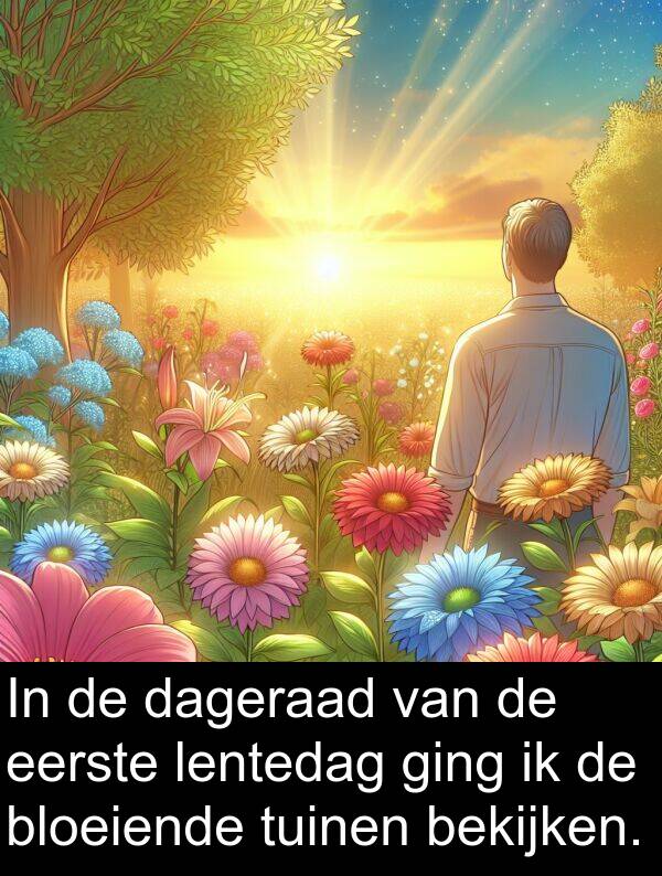 ging: In de dageraad van de eerste lentedag ging ik de bloeiende tuinen bekijken.