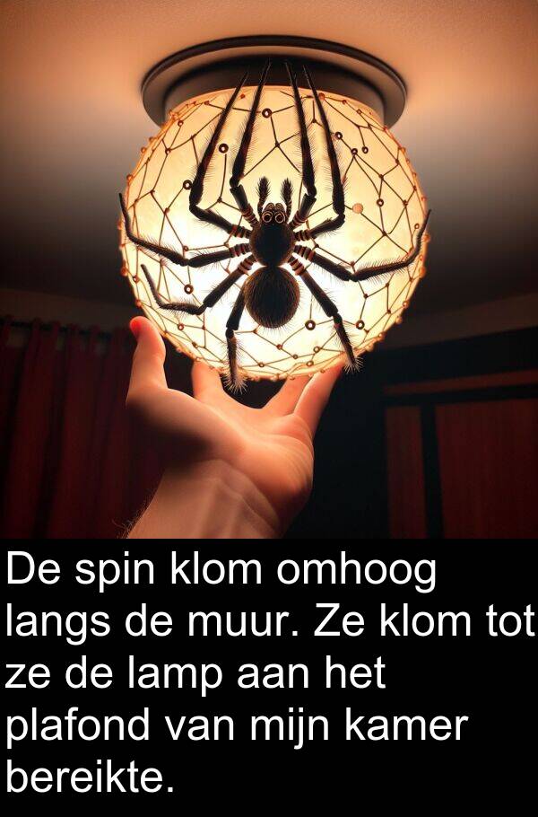 kamer: De spin klom omhoog langs de muur. Ze klom tot ze de lamp aan het plafond van mijn kamer bereikte.