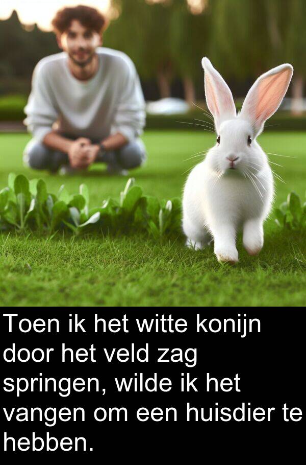 konijn: Toen ik het witte konijn door het veld zag springen, wilde ik het vangen om een huisdier te hebben.