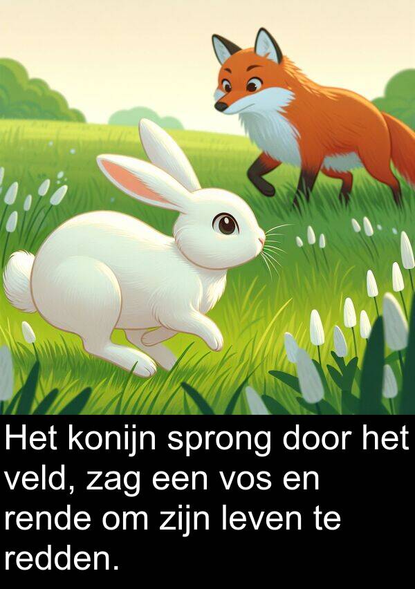 zag: Het konijn sprong door het veld, zag een vos en rende om zijn leven te redden.