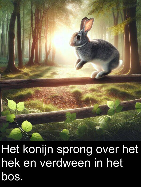 over: Het konijn sprong over het hek en verdween in het bos.