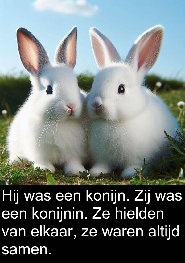 konijn: Hij was een konijn. Zij was een konijnin. Ze hielden van elkaar, ze waren altijd samen.