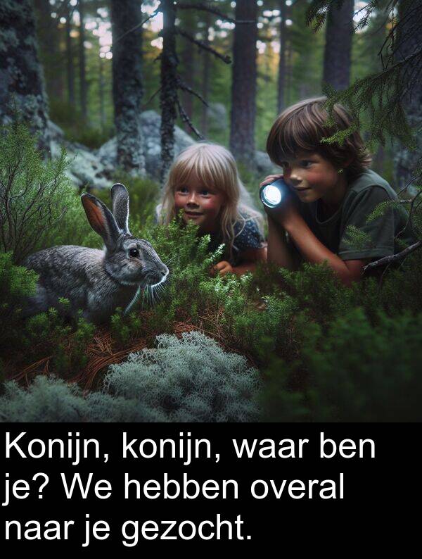 gezocht: Konijn, konijn, waar ben je? We hebben overal naar je gezocht.