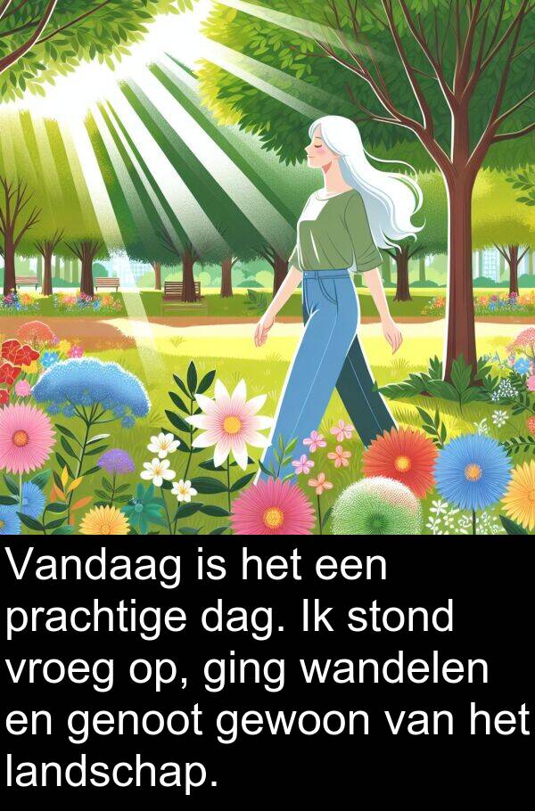 gewoon: Vandaag is het een prachtige dag. Ik stond vroeg op, ging wandelen en genoot gewoon van het landschap.