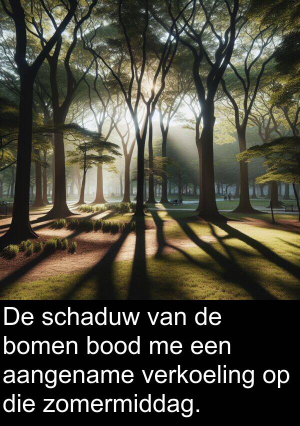 zomermiddag: De schaduw van de bomen bood me een aangename verkoeling op die zomermiddag.