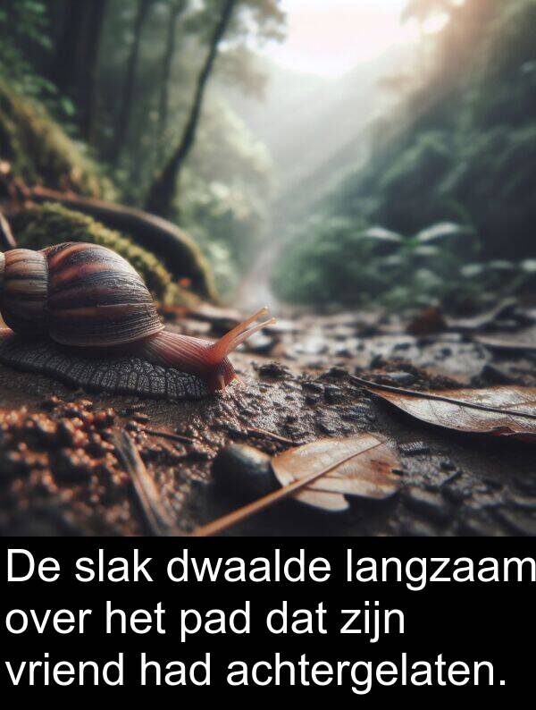 dwaalde: De slak dwaalde langzaam over het pad dat zijn vriend had achtergelaten.