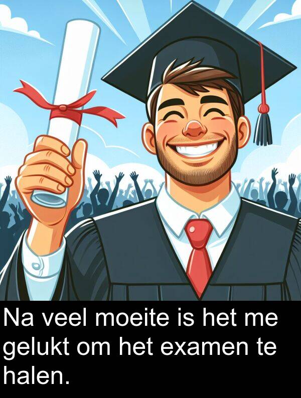 gelukt: Na veel moeite is het me gelukt om het examen te halen.