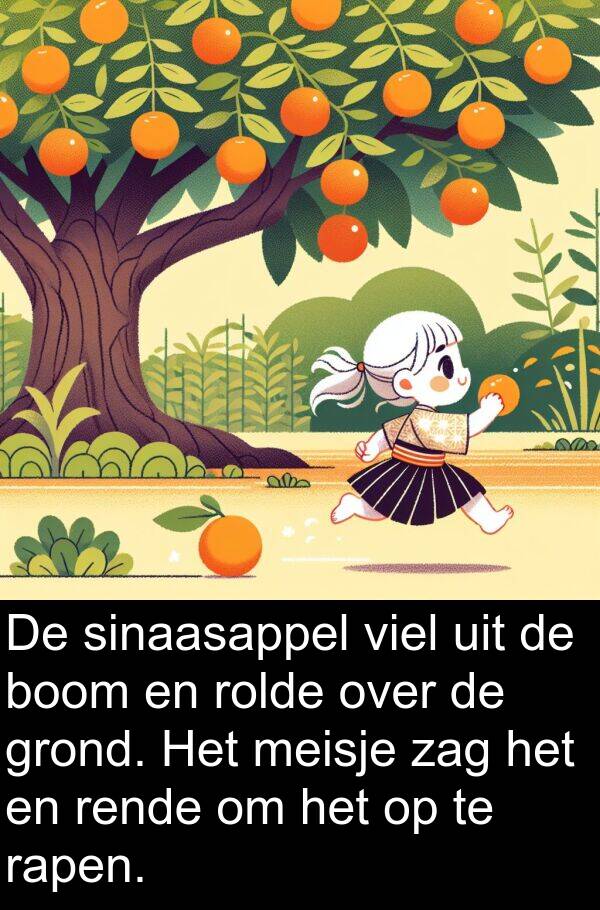 grond: De sinaasappel viel uit de boom en rolde over de grond. Het meisje zag het en rende om het op te rapen.
