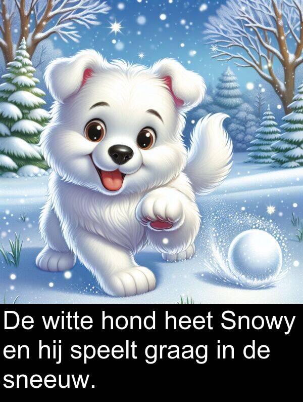 graag: De witte hond heet Snowy en hij speelt graag in de sneeuw.