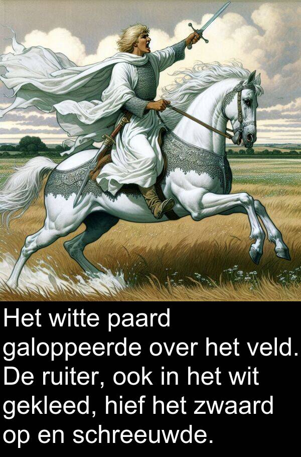 gekleed: Het witte paard galoppeerde over het veld. De ruiter, ook in het wit gekleed, hief het zwaard op en schreeuwde.