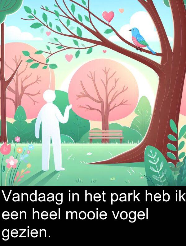 gezien: Vandaag in het park heb ik een heel mooie vogel gezien.