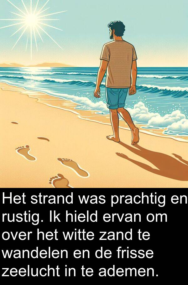 zeelucht: Het strand was prachtig en rustig. Ik hield ervan om over het witte zand te wandelen en de frisse zeelucht in te ademen.