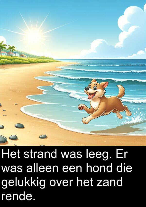 gelukkig: Het strand was leeg. Er was alleen een hond die gelukkig over het zand rende.