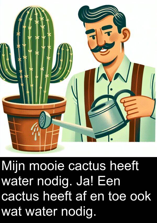 nodig: Mijn mooie cactus heeft water nodig. Ja! Een cactus heeft af en toe ook wat water nodig.