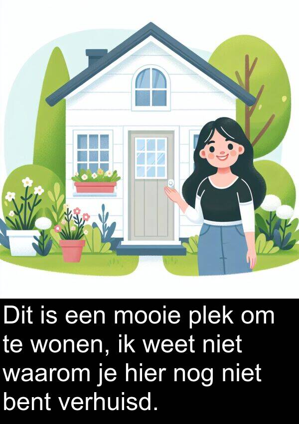 hier: Dit is een mooie plek om te wonen, ik weet niet waarom je hier nog niet bent verhuisd.